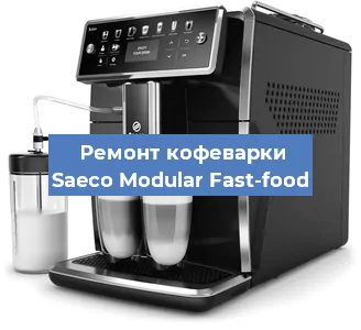 Чистка кофемашины Saeco Modular Fast-food от кофейных масел в Красноярске